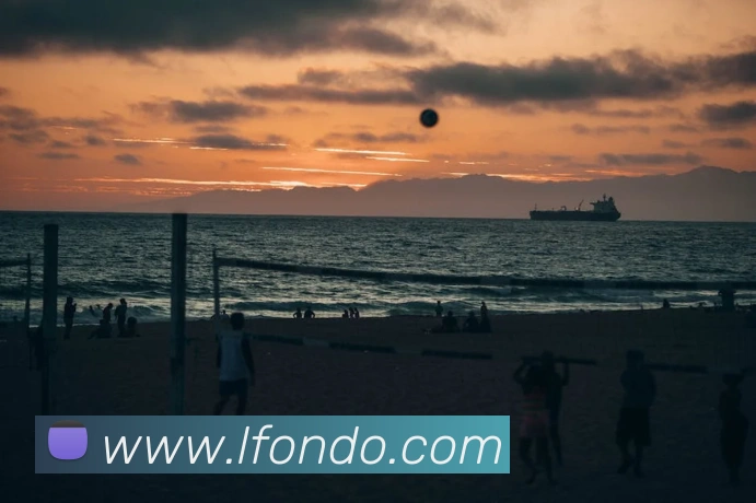 平台展示图